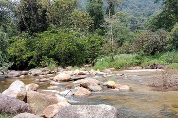 Tapah Perak 551 Acres Freehold Agriculture land For Sale