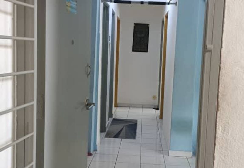 Gugusan Teratai, Seksyen 6 Kota Damansara