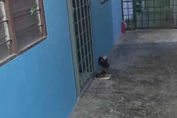 Pangsapuri Baiduri, Bandar Tasik Kesuma