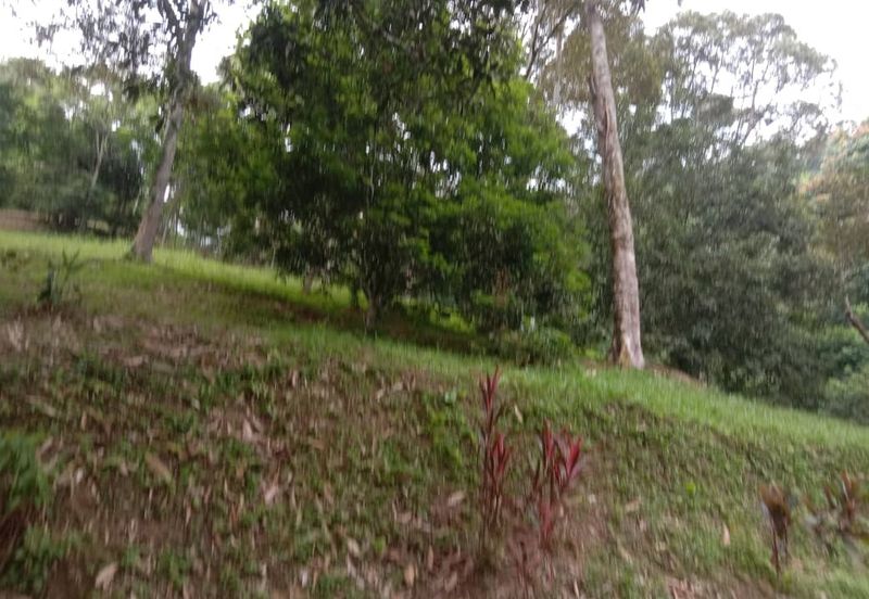 Dusun Tua, Batu 17