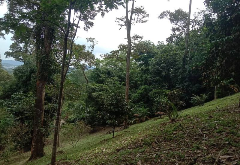 Dusun Tua, Batu 17