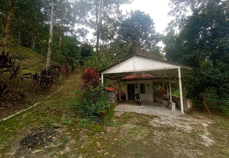 Dusun Tua, Batu 17