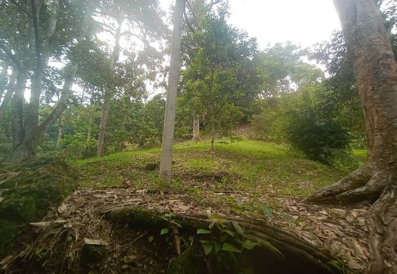 Dusun Tua, Batu 17
