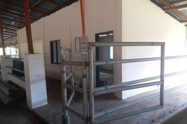 300 acres Agricultural Land Gua Musang /Lojing Cattle farm Selling together with company