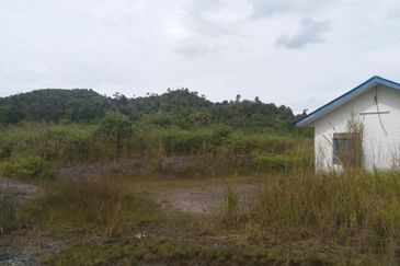 300 acres Agricultural Land Gua Musang /Lojing Cattle farm Selling together with company