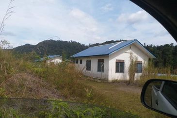 300 acres Agricultural Land Gua Musang /Lojing Cattle farm Selling together with company