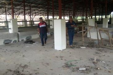 300 acres Agricultural Land Gua Musang /Lojing Cattle farm Selling together with company