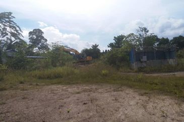 300 acres Agricultural Land Gua Musang /Lojing Cattle farm Selling together with company