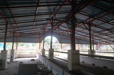 300 acres Agricultural Land Gua Musang /Lojing Cattle farm Selling together with company