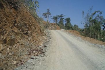 300 acres Agricultural Land Gua Musang /Lojing Cattle farm Selling together with company