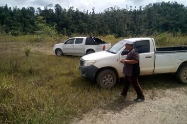 300 acres Agricultural Land Gua Musang /Lojing Cattle farm Selling together with company