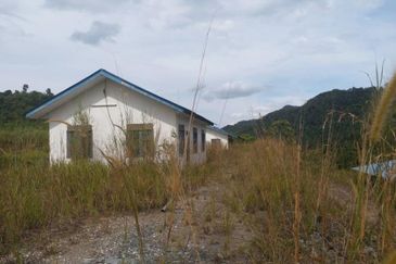 300 acres Agricultural Land Gua Musang /Lojing Cattle farm Selling together with company