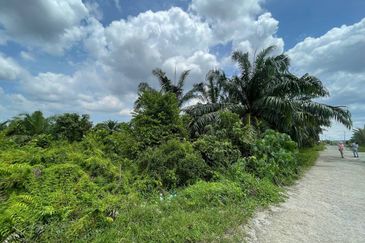 [ RIZAB MELAYU ] Kampung Labu Lanjut Sepang