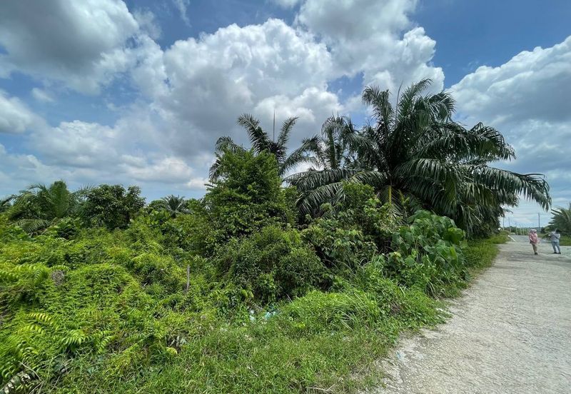 [ RIZAB MELAYU ] Kampung Labu Lanjut Sepang