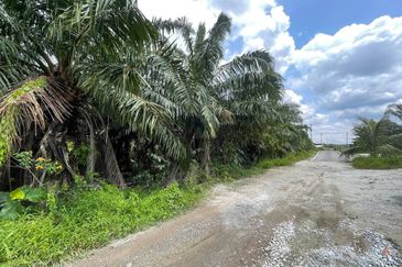 [ RIZAB MELAYU ] Kampung Labu Lanjut Sepang