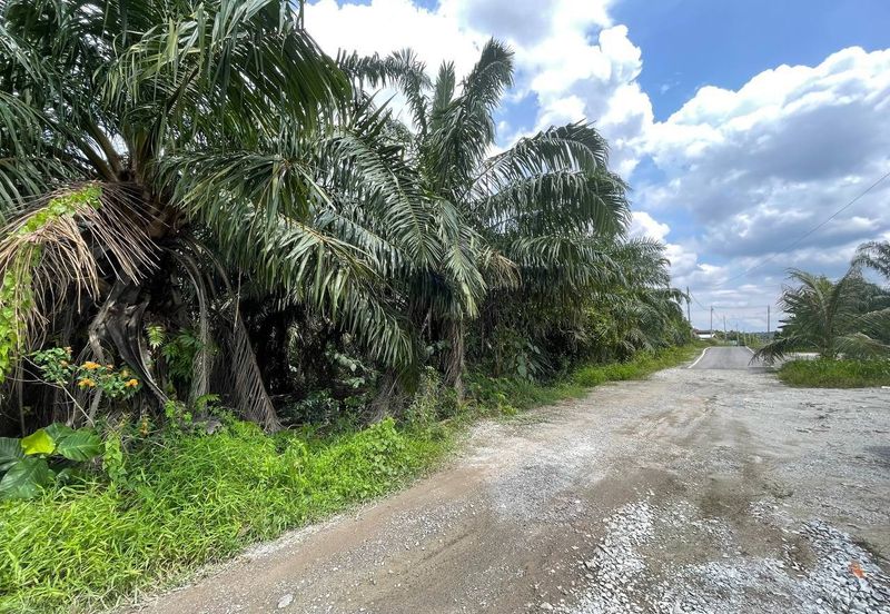 [ RIZAB MELAYU ] Kampung Labu Lanjut Sepang