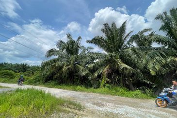 [ RIZAB MELAYU ] Kampung Labu Lanjut Sepang