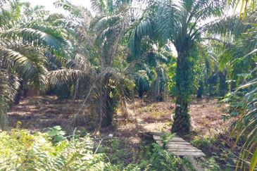 [ RIZAB MELAYU ] Kg Seri Cheeding Banting