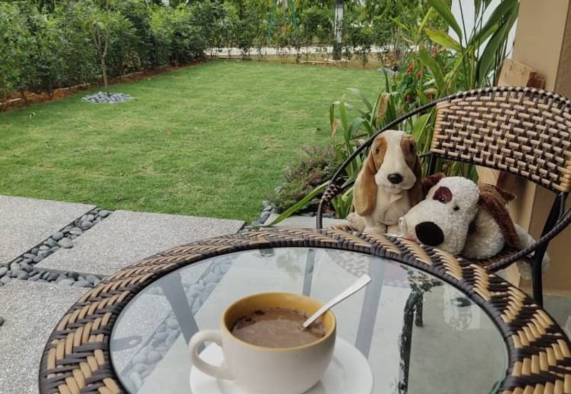 Casa Bluebell @ Cybersouth