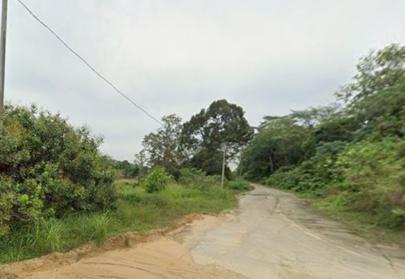 Kalumpang