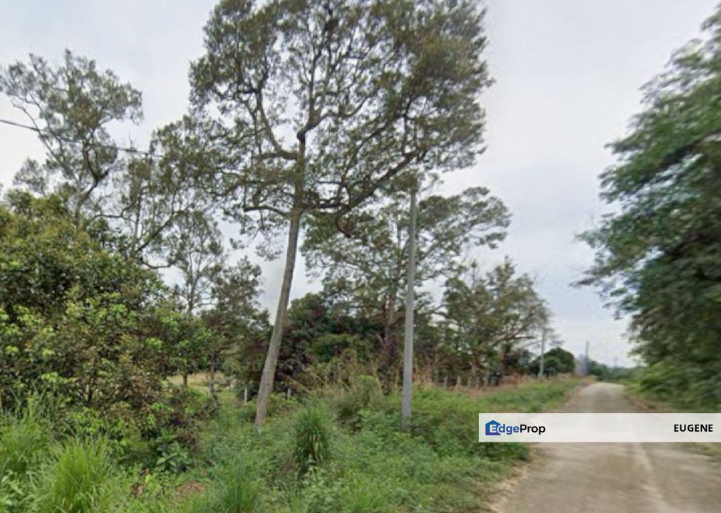 Kalumpang , Kerling @ Tanjung Malim, Selangor, Kerling