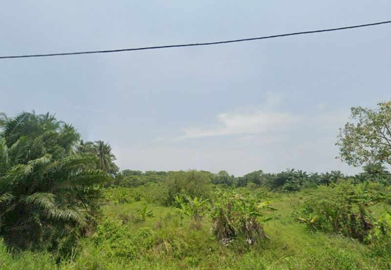 Kampung Tambak Jawa
