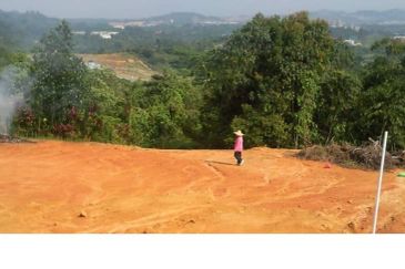 Sungai Samak @ Rawang