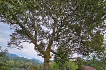 (Resort) Sungai Makau @ Hulu Langat , Semenyih