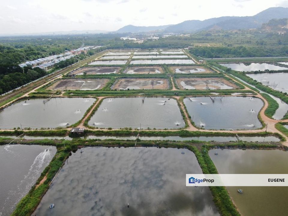 BATU PAHAT , MINYAK BEKU @ Johor, Johor, Batu Pahat