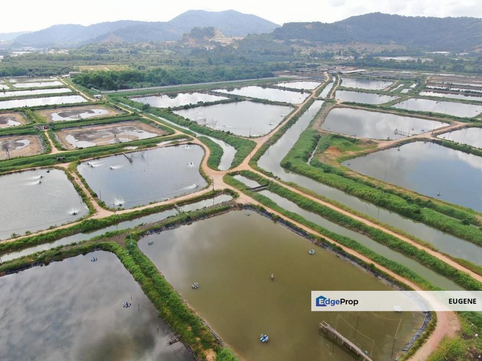 BATU PAHAT , MINYAK BEKU @ Johor, Johor, Batu Pahat