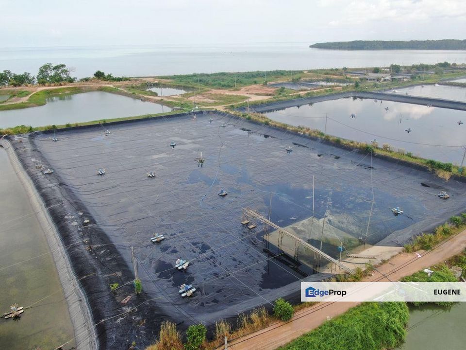 BATU PAHAT , MINYAK BEKU @ Johor, Johor, Batu Pahat