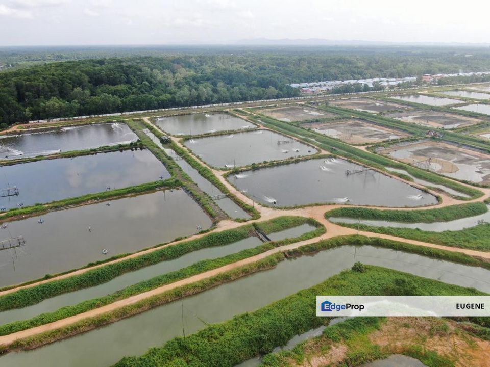 BATU PAHAT , MINYAK BEKU @ Johor, Johor, Batu Pahat