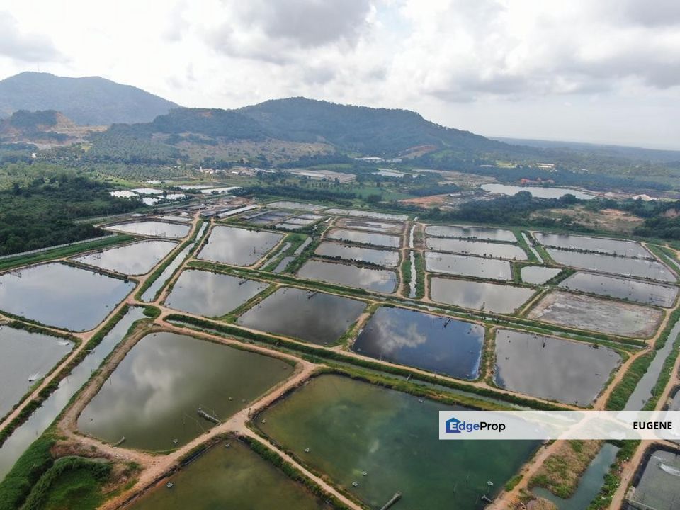 BATU PAHAT , MINYAK BEKU @ Johor, Johor, Batu Pahat