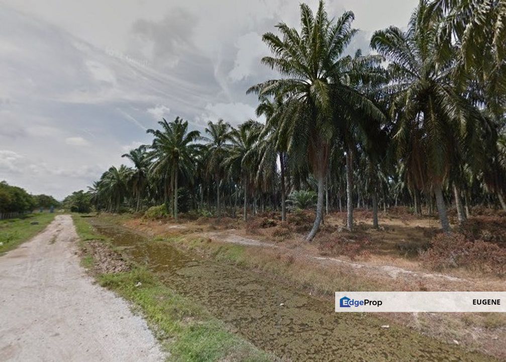 Nibong Tebal, Seberang Perai @ Penang, Penang, Nibong Tebal