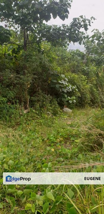 Bukit Sentosa, Rawang @ Bukit Beruntung, Agriculture Land For Sale, Selangor, Rawang
