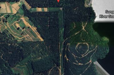 Sepang F1, Salak Tinggi @ Klia, Agriculture Land For Sale