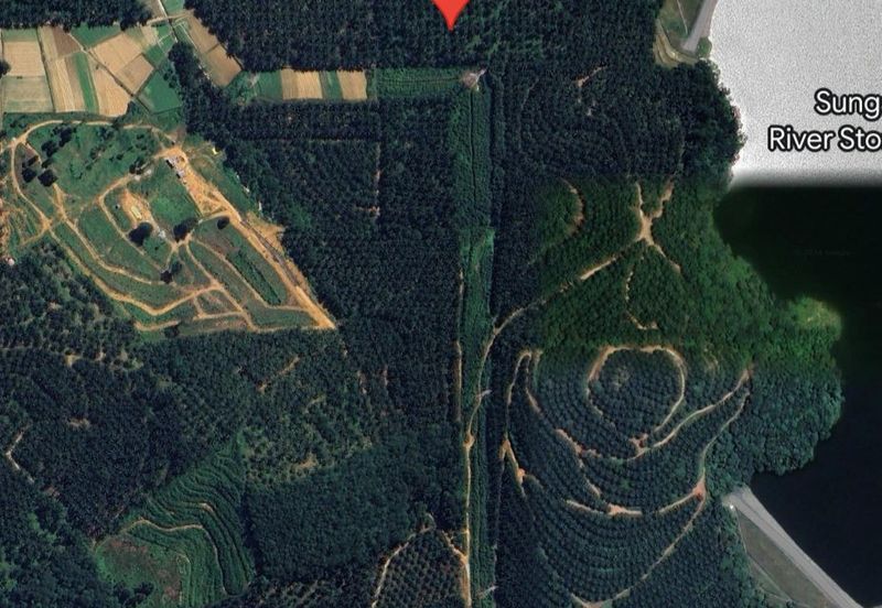 Sepang F1, Salak Tinggi @ Klia, Agriculture Land For Sale