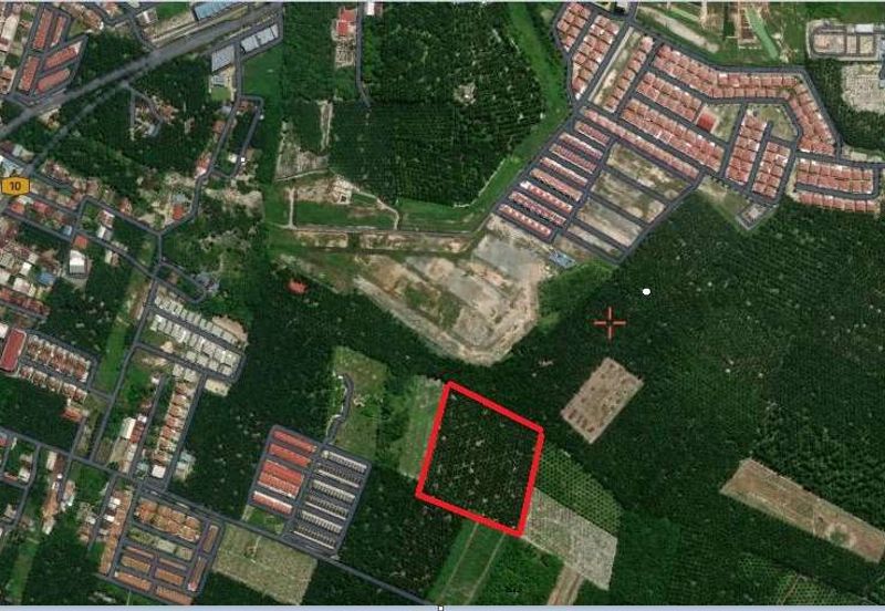 Triang Bandar Bera @ Teriang Pahang, Freehold Agriculture Land  For Sale