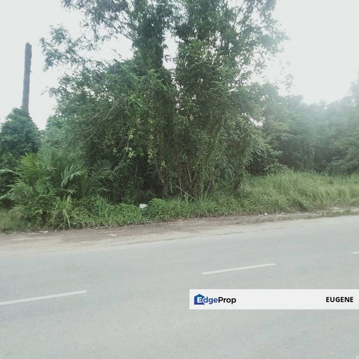 Tongkang Pechah, Batu Pahat @ Johor, Freehold Agriculture Land For Sale, Johor, Batu Pahat