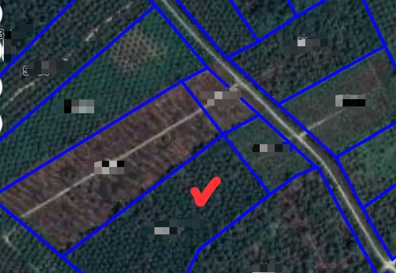 Pontian @ Johor Bahru, Freehold Agriculture Land For Sale