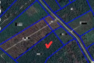 Pontian @ Johor Bahru, Freehold Agriculture Land For Sale