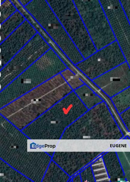 Pontian @ Johor Bahru, Freehold Agriculture Land For Sale, Johor, Pontian