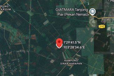 Pontian @ Johor Bahru, Freehold Agriculture Land For Sale