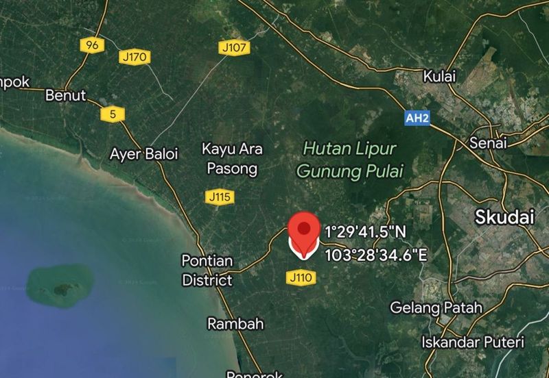 Pontian @ Johor Bahru, Freehold Agriculture Land For Sale