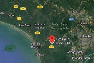 Pontian @ Johor Bahru, Freehold Agriculture Land For Sale