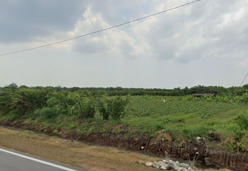 Pontian @ Johor Bahru, Freehold Agriculture Land For Sale