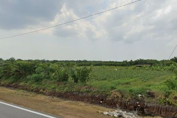 Pontian @ Johor Bahru, Freehold Agriculture Land For Sale
