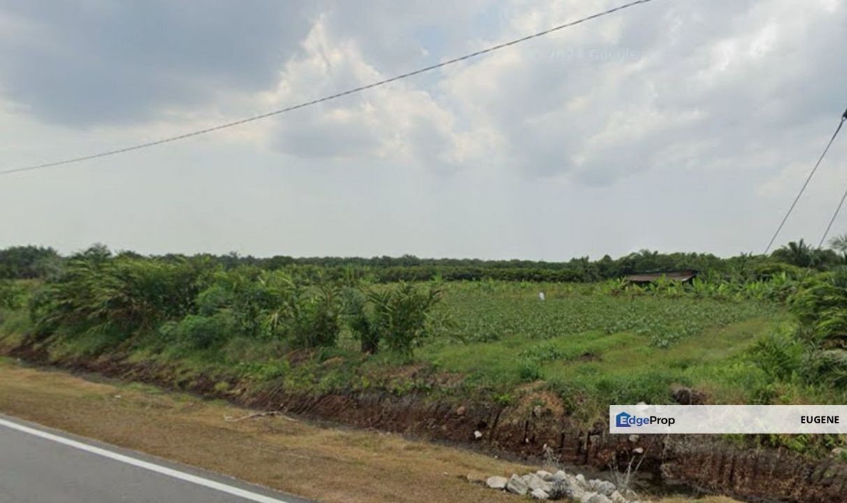Pontian @ Johor Bahru, Freehold Agriculture Land For Sale, Johor, Pontian