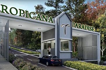 Tropicana Paradise