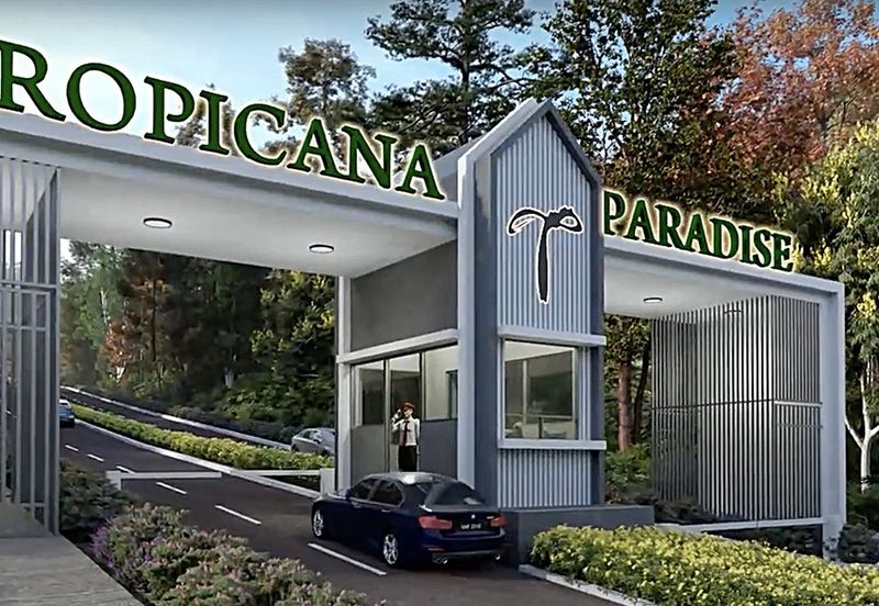 Tropicana Paradise